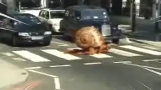 Гоню быстро