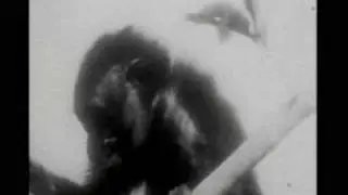 Python vs Monkey