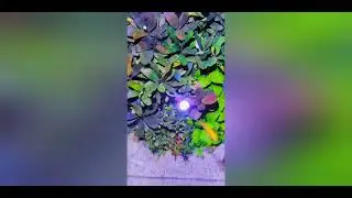 Nano kub akvaskeyp