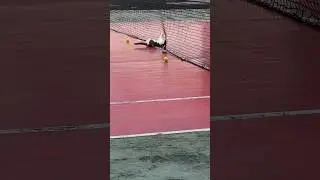 Кот в большом теннисе 😂