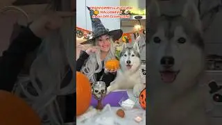 TRASFORMO la ZUCCA di HALLOWEEN in DOLCI per CANI🎃🐶😋 