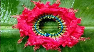 How to string hibiscus flower garland/ easy flower string/செம்பருத்தி பூ கட்டுவது எப்படி