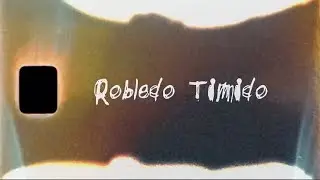 Robledo Timido - DOWNFALL (Official Visualizer)