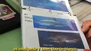 El Gran Tiburón Blanco de Isla Guadalupe 5-7