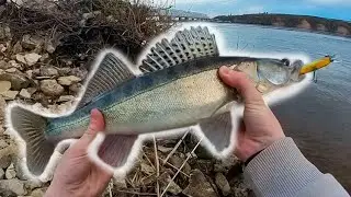 Ловля КРУПНОЙ рыбы на Ультралайт / Fishing with Insta360 X3 / Спиннинг "White Bird" #insta360