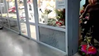 В торговом центре Фуд сити много Орхидей....