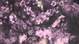 Tales of Vesperia Opening ;3