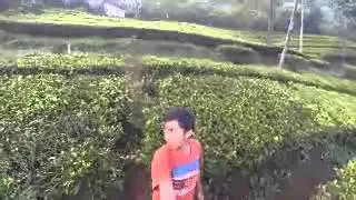 Anak Jalanan Menteng Trip Puncak
