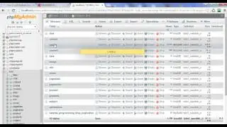 How to export mysql database and table in phpmyadmin