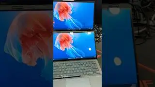 ASUS Zenbook Pro 14 Duo OLED (UX8402) #asus #Zenbook#oled #oleddisplay #gaming #asuszenbook14
