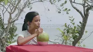 How does Water get inside a Coconut? नारियल के अंदर पानी कैसे जाता है?