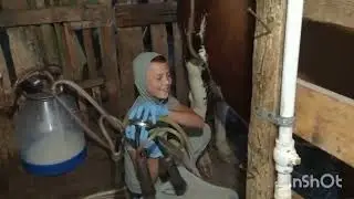 Узелковый дерматит или аллергия.