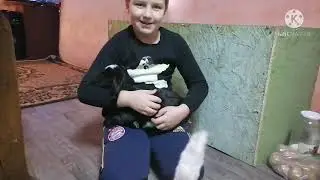 Детский сад