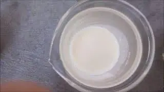 Decomposição   A ação dos decompositores no mingau