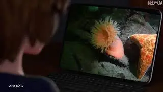 Aunt Cass checks your browser history
