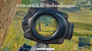 17 Kills FPP EU ! The French rogue