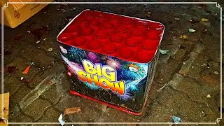 ☆Big Show☆ 63mm Shells | C2463B | Klasek HAMMER!!!