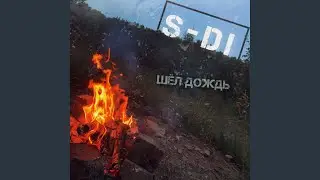 Шёл дождь
