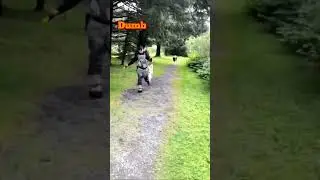 Отдай рыбу! #viralvideos #funny #приколы #memes