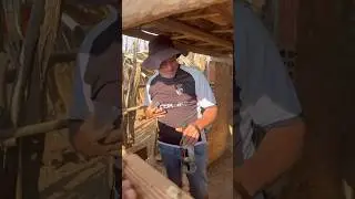 Meu sogro está vendo coisa 😂😂