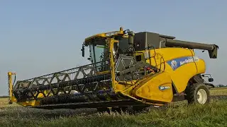Żniwa Rzepaku 2021 ✔ Oporowe Koszenie ☆ Zetor 5211 & New Holland CR9070 ☆ TheKoledzy