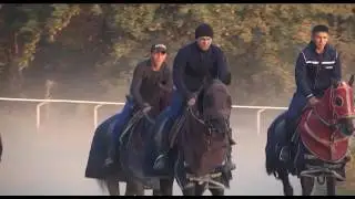 VIDEO JILKI