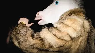 Drinking Unicorn Party