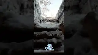 Кракен выходит! 