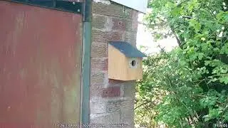 A successful let ...
