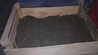 Como reutilizar caixotes de feira na sua horta