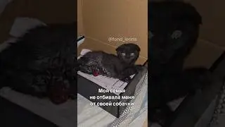 Мне распороли животик😭