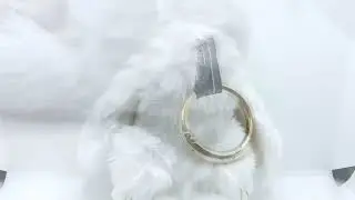 Брелок Плюшевый Кролик Белый Заяц