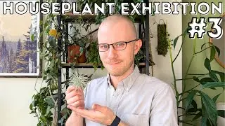 Houseplant Exhibition No. 3