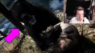MAKING FRIENDS WITH A BEAR - Red Dead Redemption 2 Funny Moments | RDR2 Funny Moments