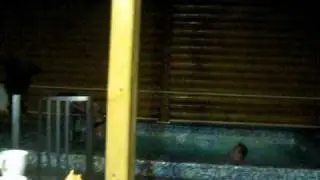 Звуки в бане :)))