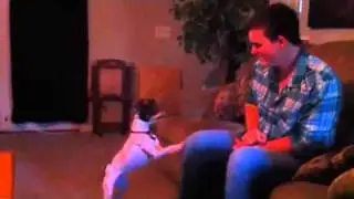 Hitler-hating dog!