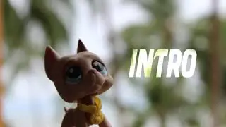 LPS PRO MEP: into it