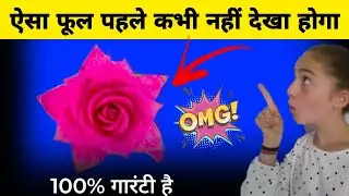 ऐसा फूल पहले कभी नहीं देखा होगा। you never seen before.