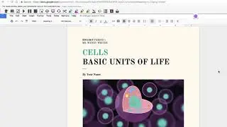 Voice Comments in Google Docs