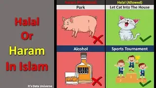 Halal Or Haram In Islam - Comparison| It's data universe