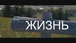 СМЫСЛ ЖИЗНИ❤