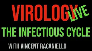 Virology Live #2: The Infectious Cycle