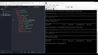 7.  NetApp Qtree Volume Rename using Ansible