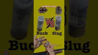 Slug vs Buckshot 