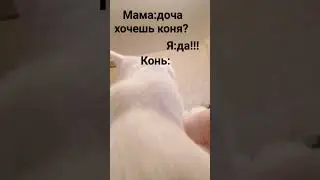23 января 2024 г.