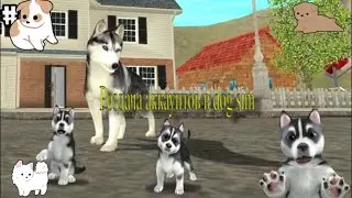 Аккаунт в dog sim