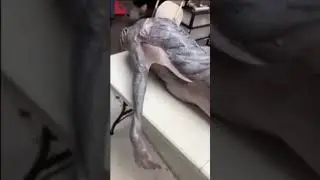 морское чудовище