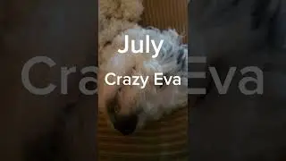 Your month your Eva part one