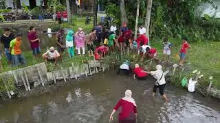 Keseruan Menangkap Ikan Lele Oleh Warga RT 06 Condrowangsan