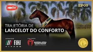 LANCELOT OF COMFORT - THE TRAJECTORY OF A NATIONAL CHAMPION